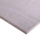 أبلكاش عادي صيني